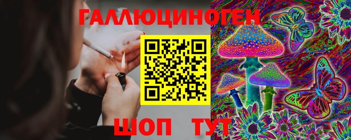 Галлюциногенные грибы Cubensis  Вход с VPN  Ступино  Псилоцибиновые грибы мицелий 